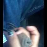 Paja movil 2 frex movil